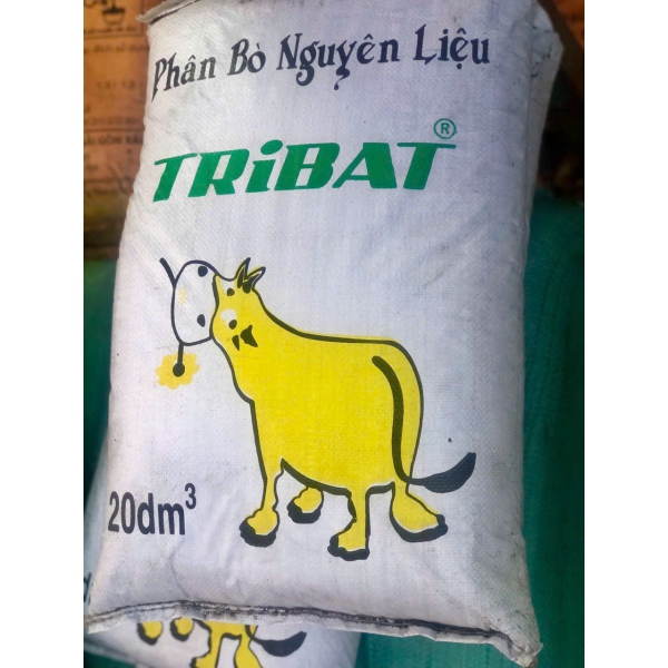 Phân bò Tribat