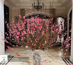 8 Bí Quyết “Phục Sinh” Cành Đào Bị Héo Trước Tết